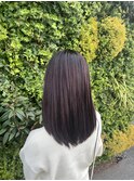 カシスグレー【沼津】
