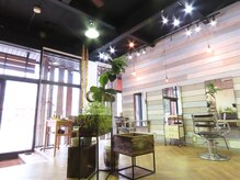 シュハリ(SHUHARI)