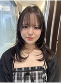 ハッシュカット/レイヤーカット/韓国