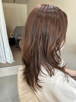 本と南風 guest design