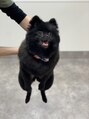 ニューヨークニューヨーク 海老江店(NYNY) 犬飼い始めました!犬好きの方は語り合いましょう☆