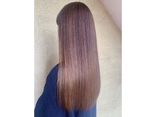 ステラノルド(Stella nord)