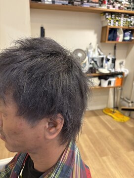 アウラ(aura) ダブルカラー