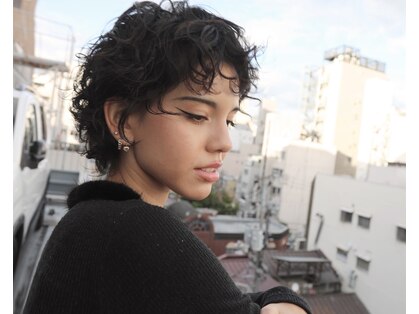 スノッブアーティ(SNOB ARTY)の写真