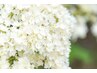 《新しいサロン探しに♪》はじめましてのお客様20%OFF♪