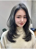 レイヤー