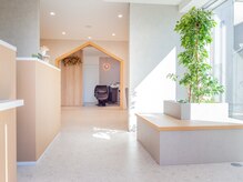 サロン アンレーヴ(salon un reve)