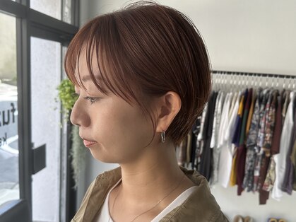 フゾンカウチ(fuzon kauti)の写真