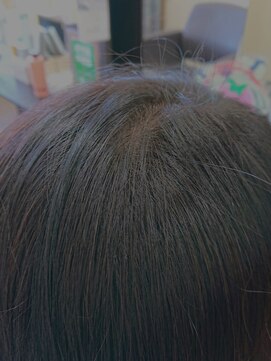 レイディバードカラー ヤオコー足利八幡店 30分のリタッチカラー（根元白髪染め）