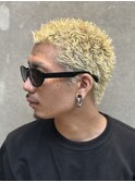 スペインカール/スパイキーショート/フェザーパーマイージー