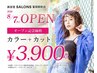 大人気♪【OPEN記念】カラー+カット 3900円