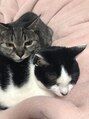 ジュール イオンモールKYOTO店(Jour) 実家の猫 です。癒しです 。