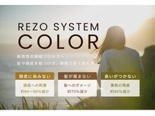 Rezo「無害化システム」