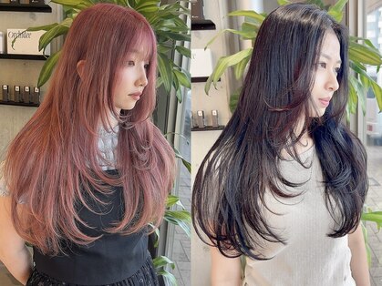スキル 水戸(SKILL)の写真