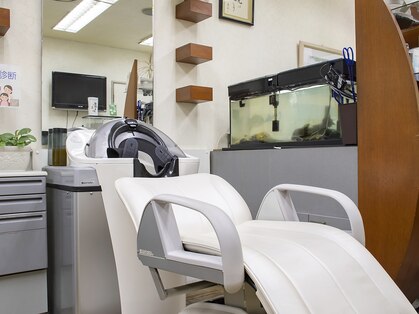 グルーミングコアマルイワ(grooming core maruiwa)の写真