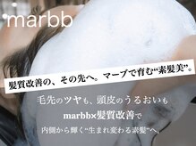 リゴッツ ドゥア プトゥリ(Regottz dua putri)の雰囲気(【髪質改善/トリートメント/ストレート/marbb/ヘアエステ/中津】)