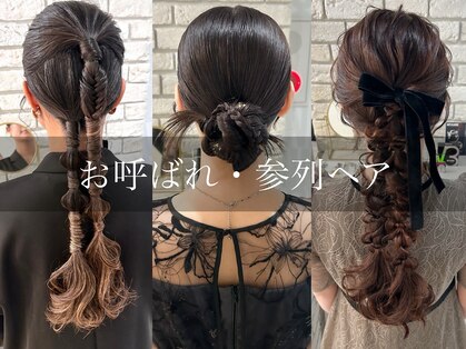 ディティカ ティア(Dityca tia)の写真