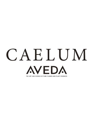 カエルムアヴェダ(CAELUM AVEDA)