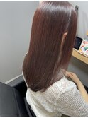 柔らかカシスカラー