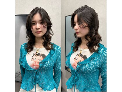 ソルビア(solvia)の写真
