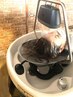【初回お試し美髪と癒しの体験】カット＋美髪やすらぎ脳内ヘッドスパ
