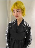イエローショートウルフ風