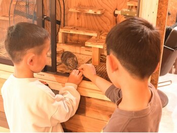 ハコミフ(HACOMIFU)の写真/マンツーマンの＜貸し切り空間＞×＜小動物＞の楽しい癒し空間♪人気の赤ちゃん筆・胎毛筆も受付可能です◎