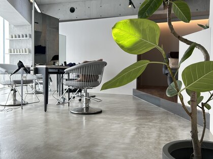 プール(pour.)の写真