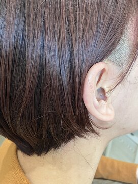 本と南風 guest design