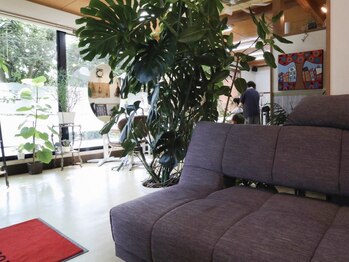 カミシバイの写真/髪や頭皮に優しいオーガニックカラーでダメージを抑えたい方,敏感肌の方必見酸性カラーもあり★<神栖/鹿島>