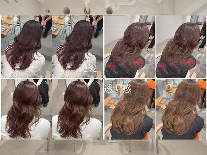 サラ(sara)の写真