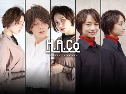 ハコ(H.A.Co)の写真