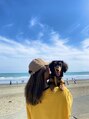ロニ(LONI)&nbsp;愛犬のmiliです★サーフィンします！ダックスですが泳げます！笑