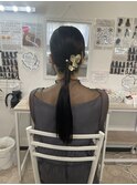 タイトローポニー