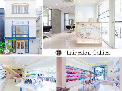ガリカ シーム(Gallica/SEAM)の写真
