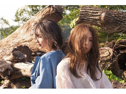 リロー(rello)の写真