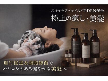 アース(earth)の写真