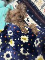 トコラソ(tocolaso) 動物好きです!我が家の愛犬!納豆が大好物のトイプードルです