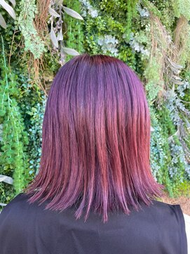 ノーブルヘアー(NOBLE HAIR) ピンクパープル×ボブ