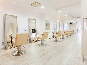 basil pupula【バジル　プープラ】