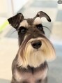 ネロ ヘアサロン ネイビー 渋谷(NERO HAIRSALON NAVY) Gabriel(2歳)と暮らしています(o^^o)