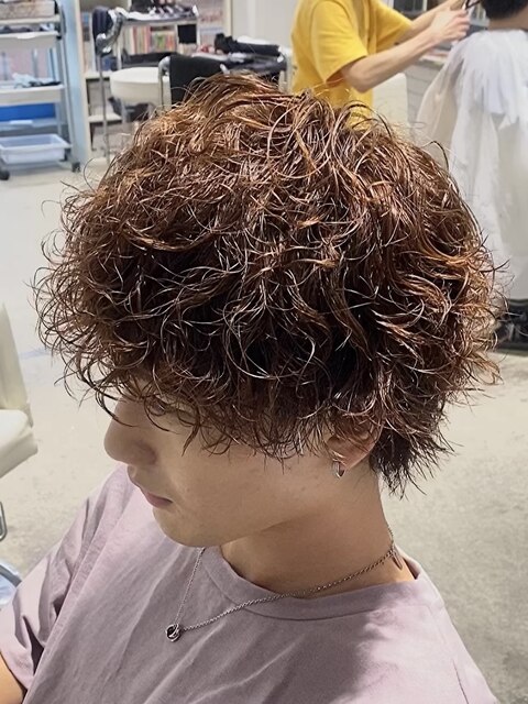 スパイラルパーマツーブロックラウンドマッシュメンズヘア無造作