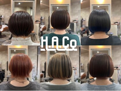 ハコ(H.A.Co)の写真