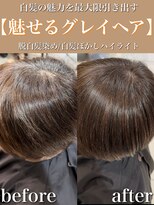 アッシュ 大泉学園店(Ash) 魅せるグレイヘア【アッシュベージュ】