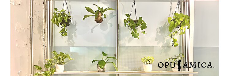 オーパスアミカ(OPUS AMICA)のサロンヘッダー