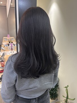 ハブ(hub) 【天神今泉】ボルドーラベンダー