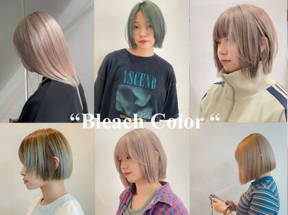 サクラ オモテサンドウ(SAKURA)の写真