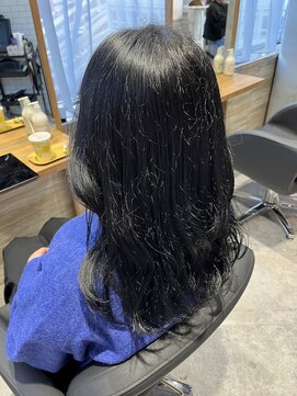 リーオオサカ(Lee Osaka) ブルーブラック×東芽生