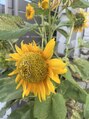 ニルス(nils)&nbsp;お笑いを見たり、旅行したり、楽しいこと、笑うことが好きです。