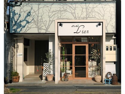 リアン(Lian)の写真
